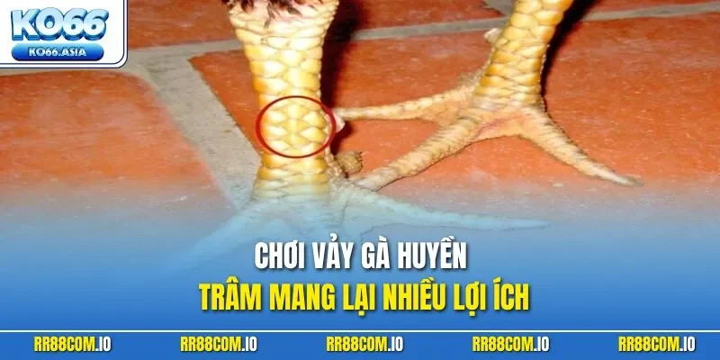 Chơi vảy gà huyền trâm mang lại nhiều lợi ích