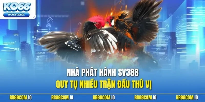 Nhà phát hành SV388 quy tụ nhiều trận đấu thú vị