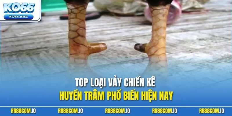 Top loại vảy chiến kê huyền trâm phổ biến hiện nay