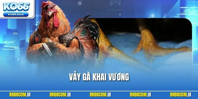 Vảy Gà Khai Vương - Hướng Dẫn Nhận Biết Và Cách Huấn Luyện 